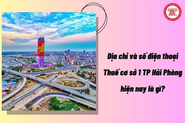 Pháp luật