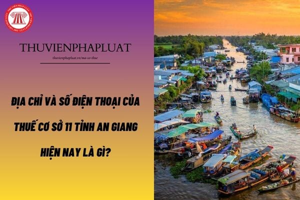 Pháp luật