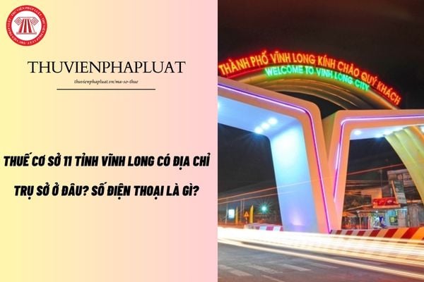 Pháp luật
