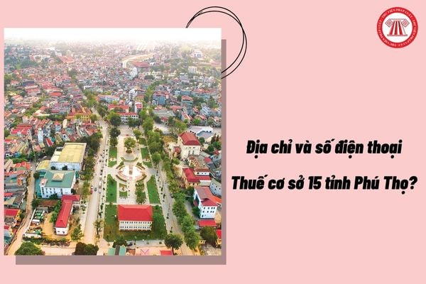 Pháp luật