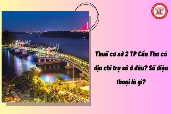 Pháp luật