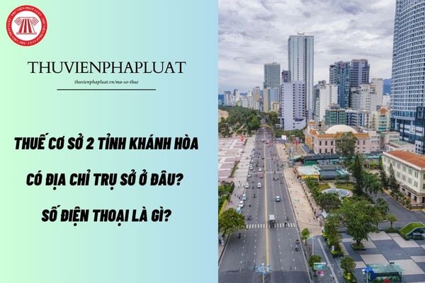 Pháp luật
