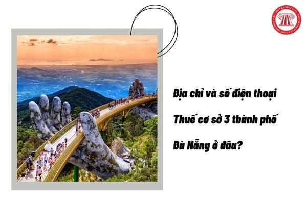 Pháp luật