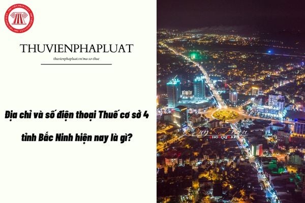 Pháp luật
