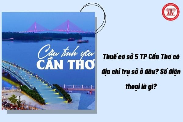 Pháp luật