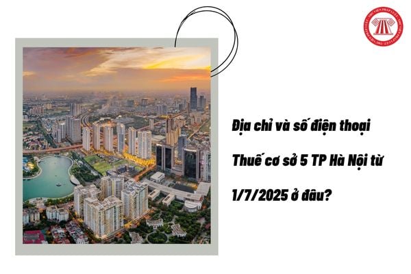 Pháp luật