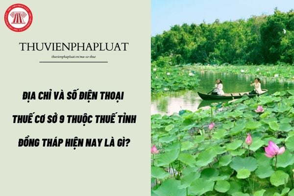 Pháp luật