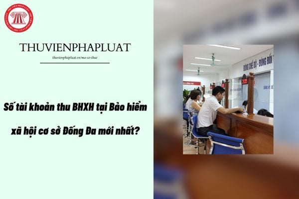 Pháp luật