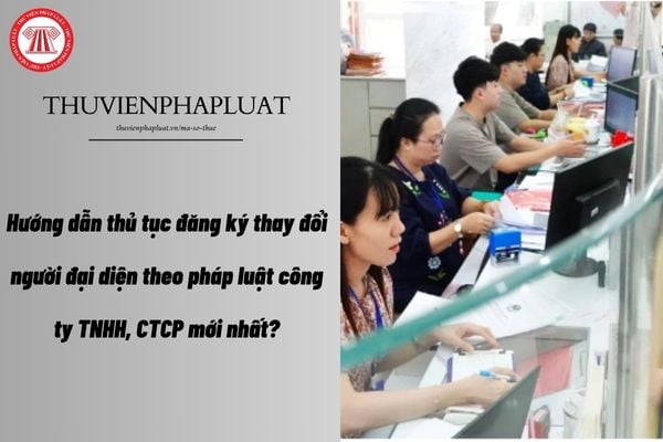 Pháp luật