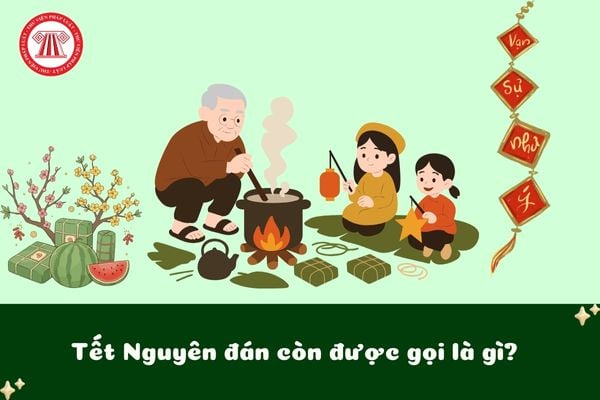 Pháp luật