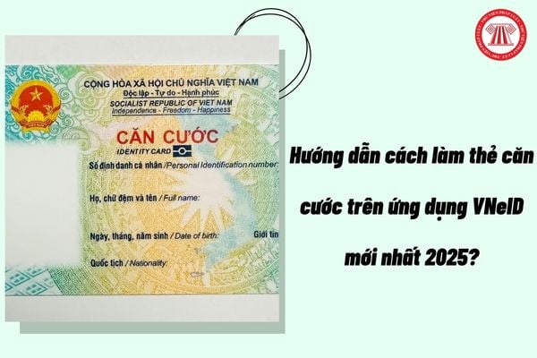 Pháp luật