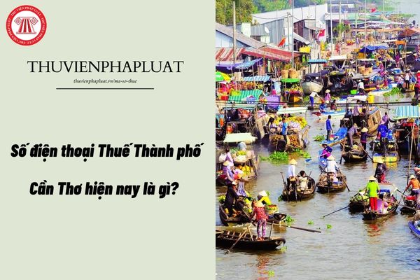 Pháp luật