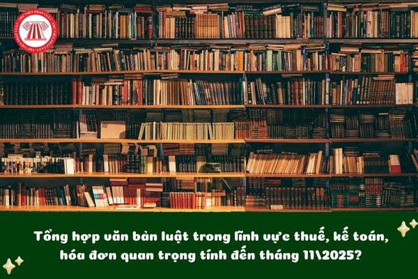 Pháp luật
