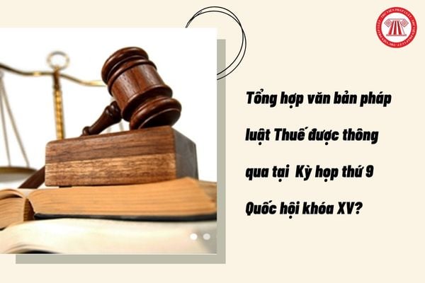 Pháp luật