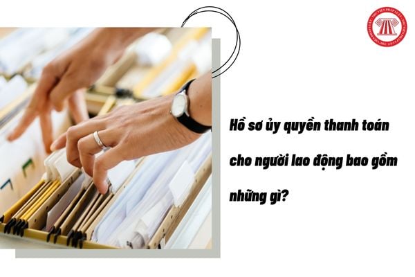 Pháp luật