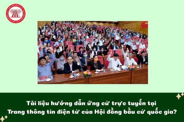 Pháp luật