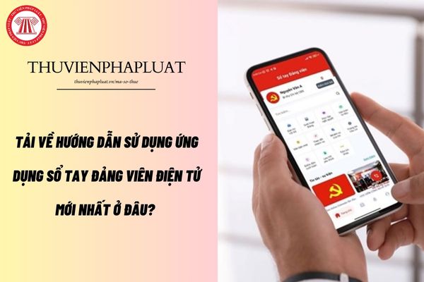 Pháp luật