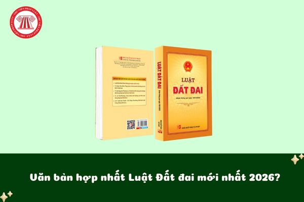 Pháp luật