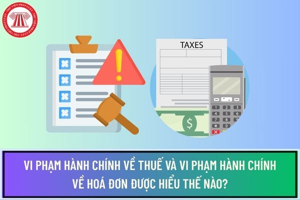 Pháp luật