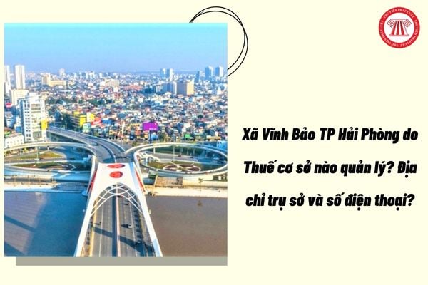 Pháp luật