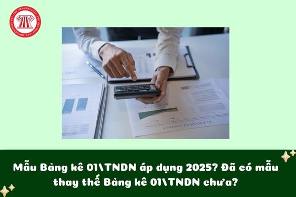 Mẫu Bảng kê 01/TNDN áp dụng 2025? Đã có mẫu thay thế Bảng kê 01/TNDN chưa?