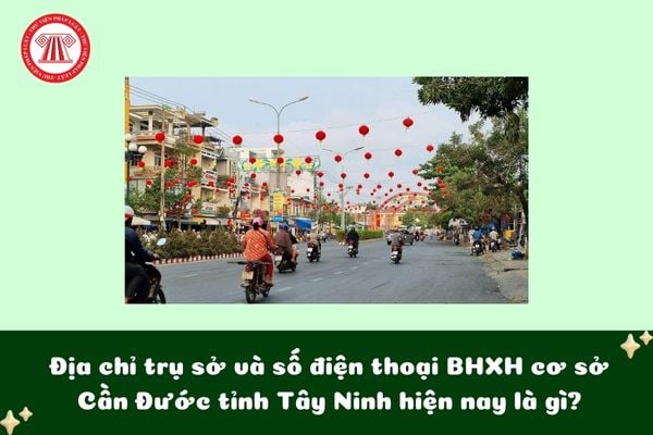 Pháp luật