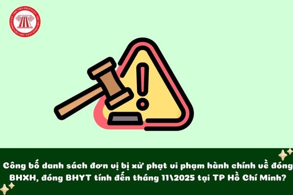 Danh sách đơn vị bị xử phạt vi phạm hành chính về đóng BHXH, đóng BHYT tính đến tháng 11/2025 tại TP Hồ Chí Minh?