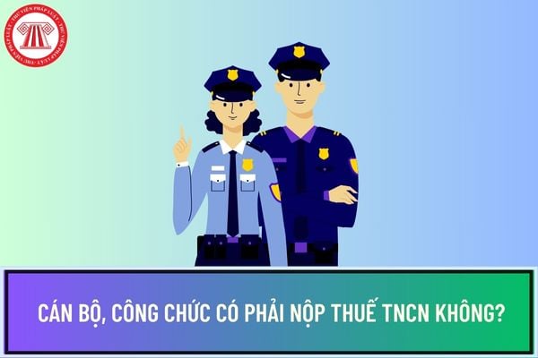 Pháp luật