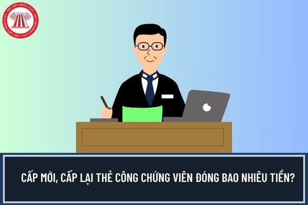 Pháp luật