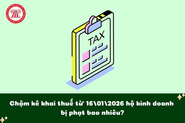 Pháp luật