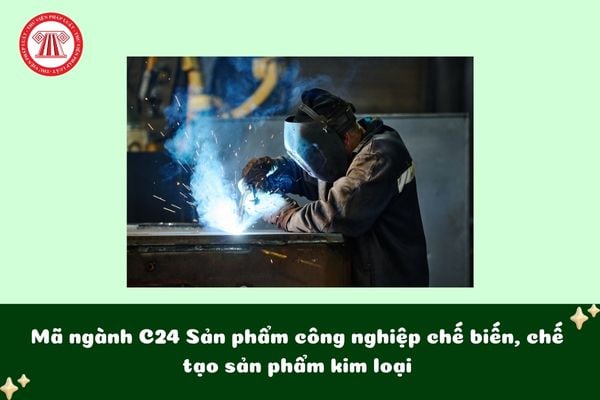 Pháp luật
