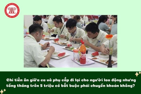 Pháp luật