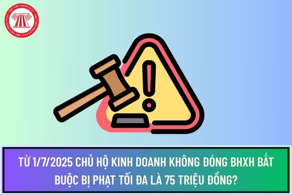 Pháp luật
