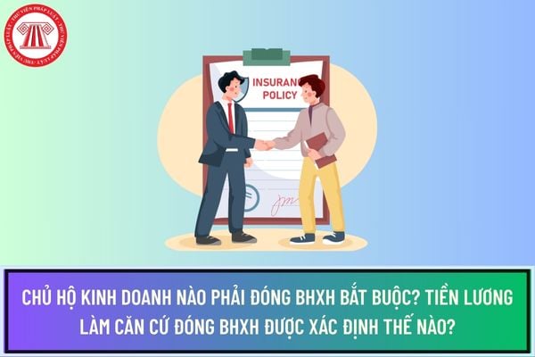 Pháp luật