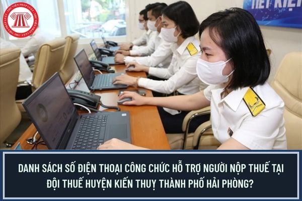Pháp luật