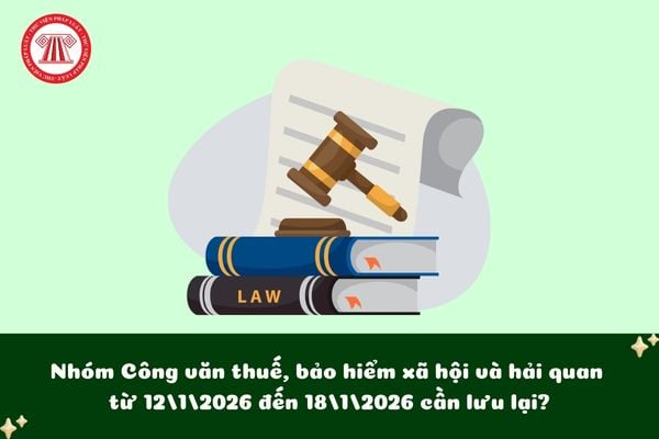 Pháp luật