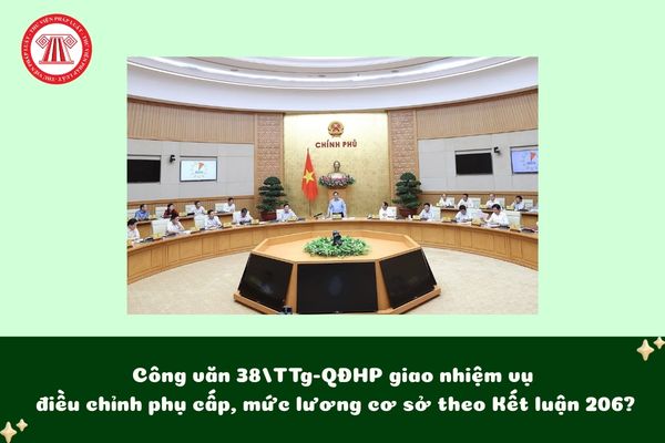 Pháp luật