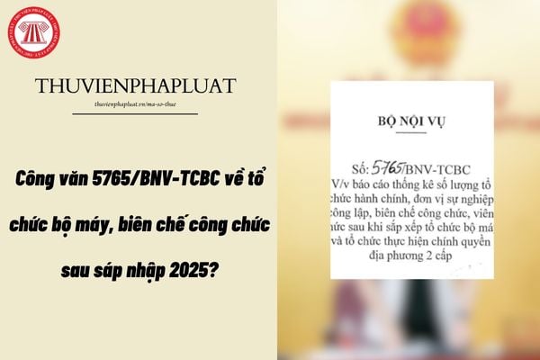 Pháp luật