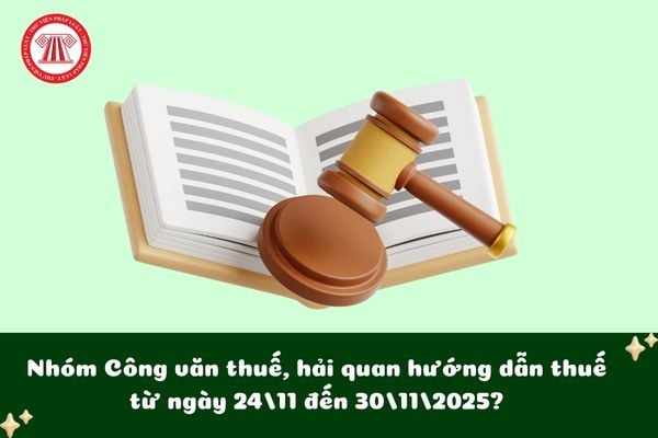 Pháp luật