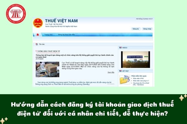Pháp luật