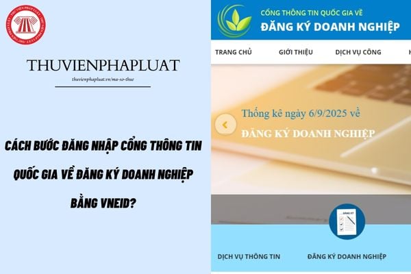 Cách bước đăng nhập Cổng thông tin quốc gia về đăng ký doanh nghiệp bằng VneiD?