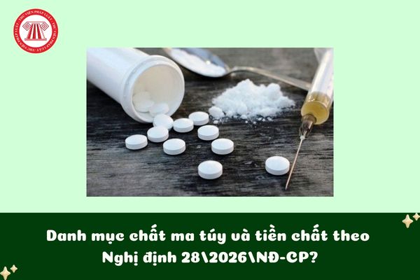 Pháp luật