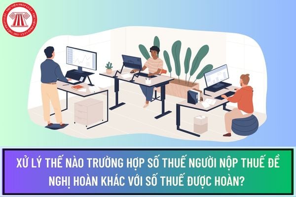 Pháp luật