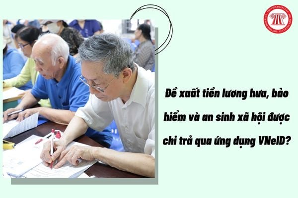 Pháp luật