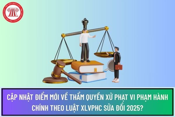 Pháp luật
