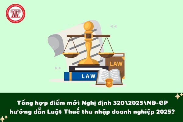 Pháp luật