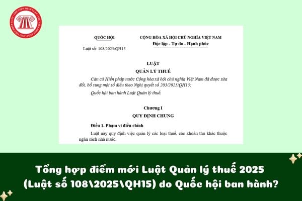 Pháp luật