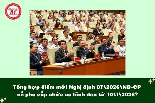 Pháp luật