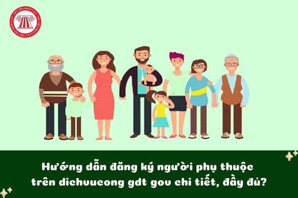 Pháp luật