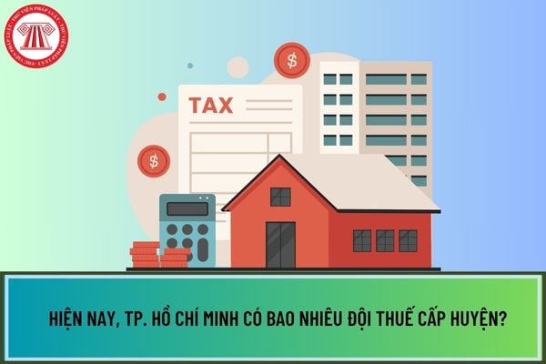 Hiện nay, TP. Hồ Chí Minh có bao nhiêu Đội thuế cấp huyện?